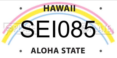 SEI085 Hawaii License Plate