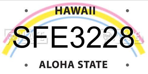 SFE3228 Hawaii License Plate