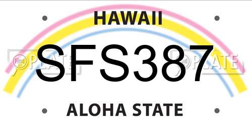 SFS387 Hawaii License Plate