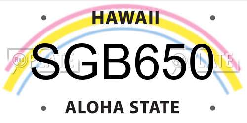 SGB650 Hawaii License Plate