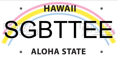 SGBTTEE Hawaii License Plate