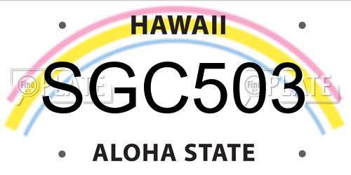 SGC503 Hawaii License Plate