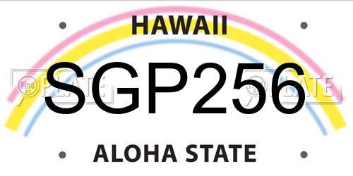 SGP256 Hawaii License Plate