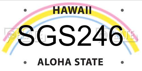 SGS246 Hawaii License Plate