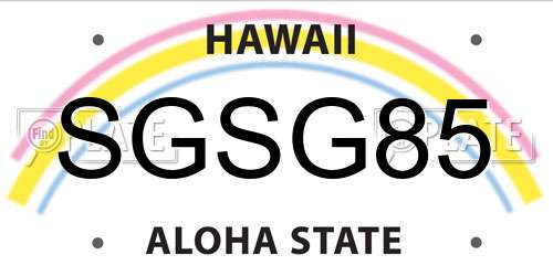SGSG85 Hawaii License Plate
