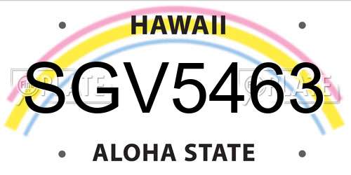 SGV5463 Hawaii License Plate