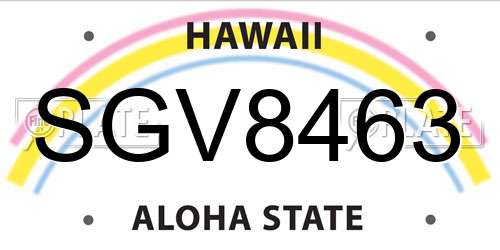 SGV8463 Hawaii License Plate