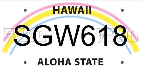 SGW618 Hawaii License Plate