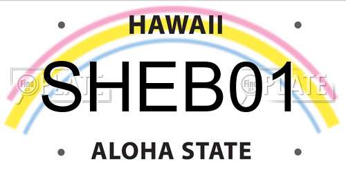 SHEB01 Hawaii License Plate
