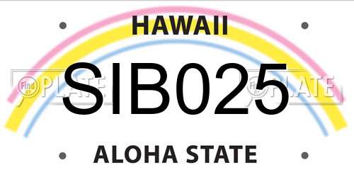 SIB025 Hawaii License Plate
