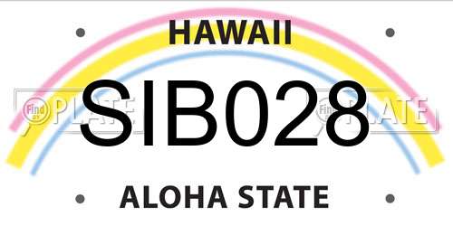 SIB028 Hawaii License Plate