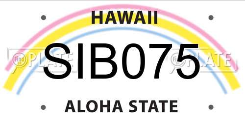 SIB075 Hawaii License Plate