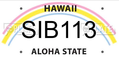 SIB113 Hawaii License Plate