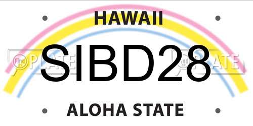 SIBD28 Hawaii License Plate