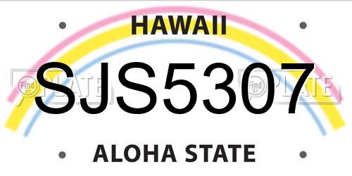 SJS5307 Hawaii License Plate