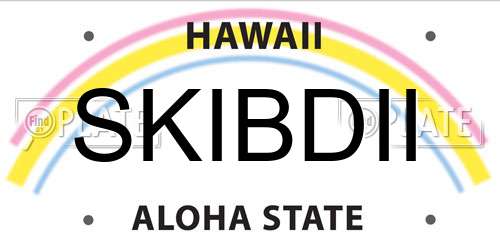 SKIBDII Hawaii License Plate