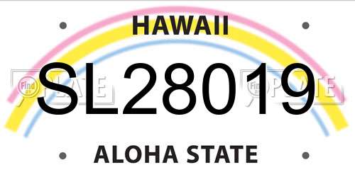 SL28019 Hawaii License Plate