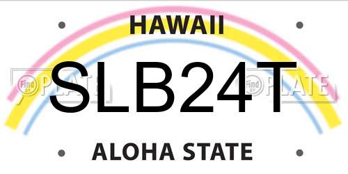 SLB24T Hawaii License Plate