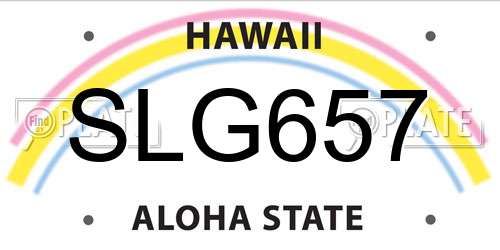 SLG657 Hawaii License Plate