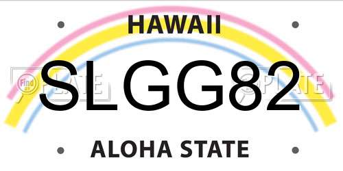 SLGG82 Hawaii License Plate