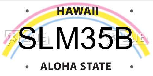 SLM35B Hawaii License Plate