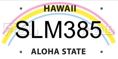 SLM385 Hawaii License Plate
