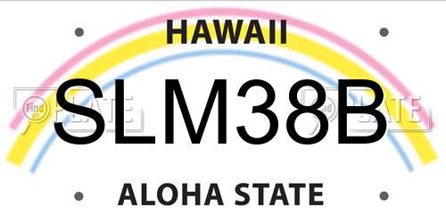 SLM38B Hawaii License Plate