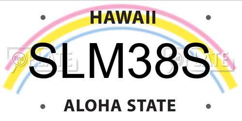 SLM38S Hawaii License Plate