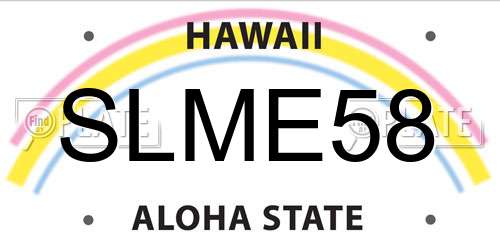 SLME58 Hawaii License Plate