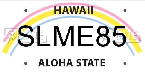 SLME85 Hawaii License Plate