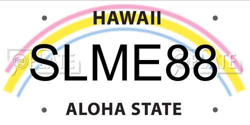SLME88 Hawaii License Plate