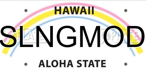SLNGMOD Hawaii License Plate