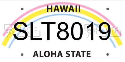 SLT8019 Hawaii License Plate