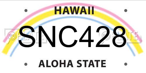 SNC428 Hawaii License Plate