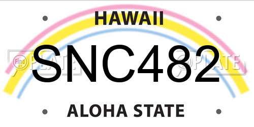 SNC482 Hawaii License Plate
