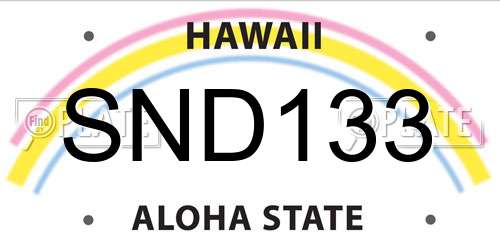 SND133 Hawaii License Plate