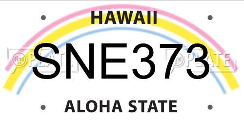 SNE373 Hawaii License Plate