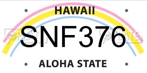 SNF376 Hawaii License Plate