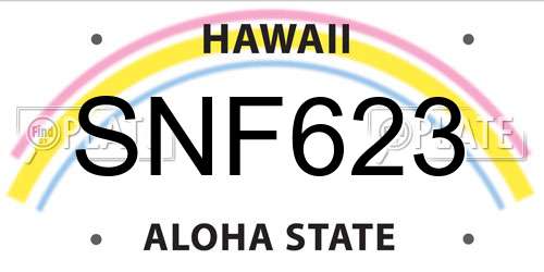 SNF623 Hawaii License Plate