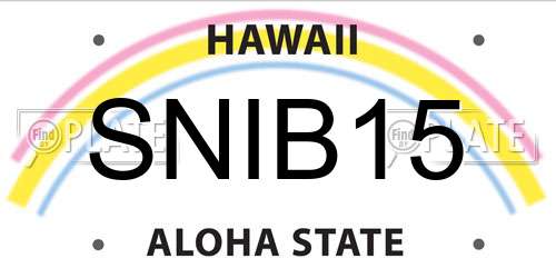 SNIB15 Hawaii License Plate