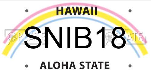SNIB18 Hawaii License Plate