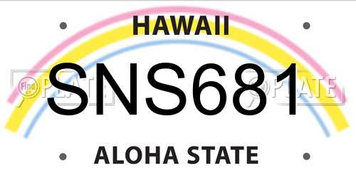 SNS681 Hawaii License Plate