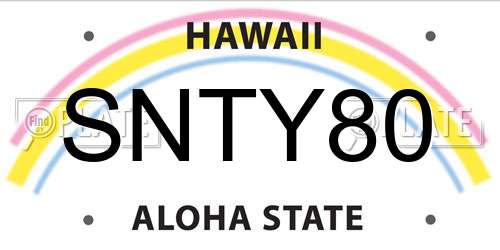 SNTY80 Hawaii License Plate