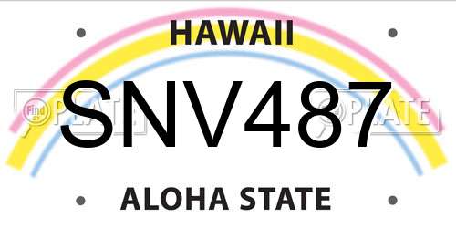 SNV487 Hawaii License Plate