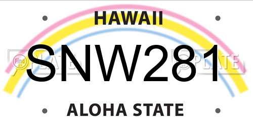 SNW281 Hawaii License Plate
