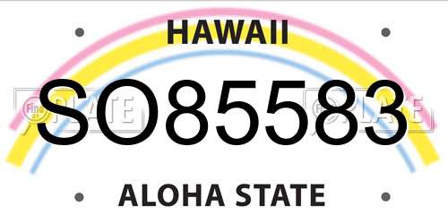 SO85583 Hawaii License Plate