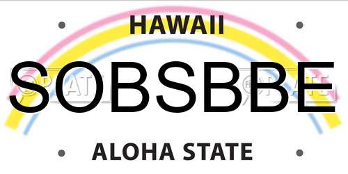 SOBSBBE Hawaii License Plate