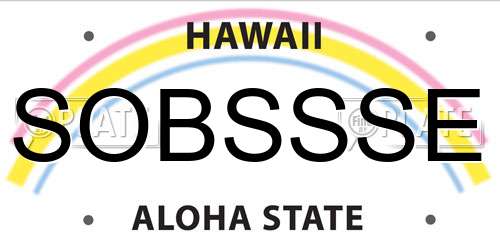 SOBSSSE Hawaii License Plate