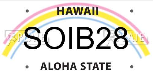 SOIB28 Hawaii License Plate