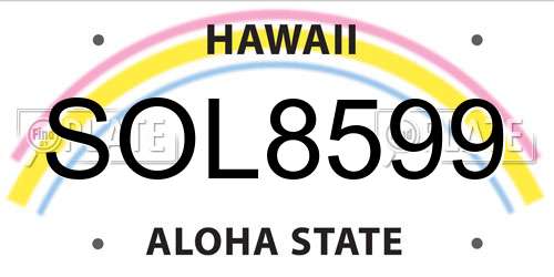 SOL8599 Hawaii License Plate